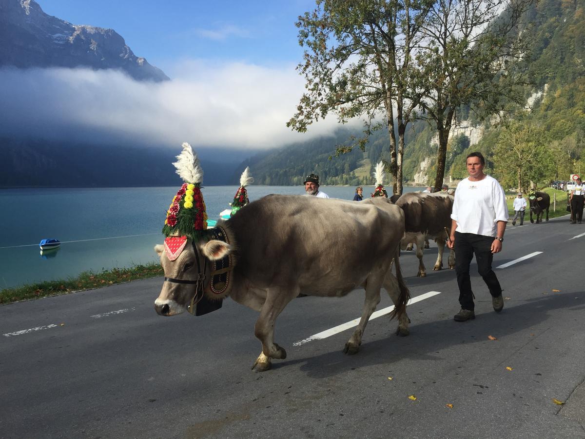 Hotel Rhodannenberg Ag Glarus Dış mekan fotoğraf